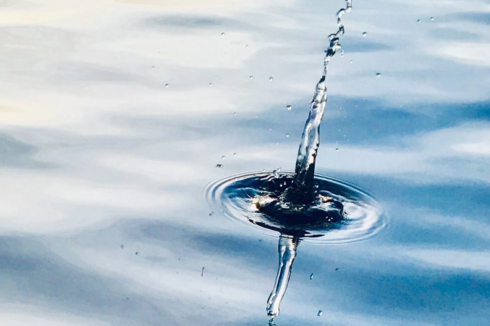 Wassertropfen, der auf die Oberfläche eines ruhigen Gewässers trifft und Wellen erzeugt.